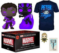Funko Marvel Collector Corps Subscription Box, Infinity Saga (M)