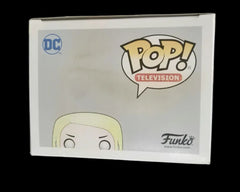 Funko Pop! Teen Titans Go!: Terra (Toys R Us Exclusive) #455 (Box Damage)
