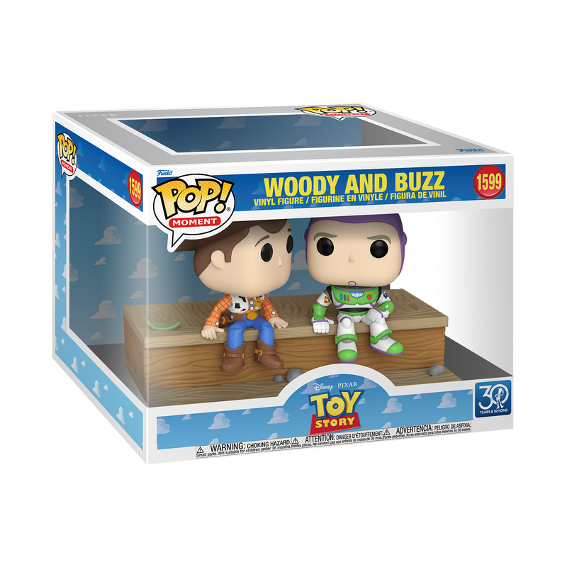 Funko Pop! Toy Story: Woody and Buzz #1599