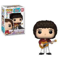 Funko Pop! Greg Brady #693